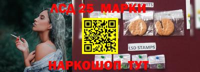 твердый Новокубанск