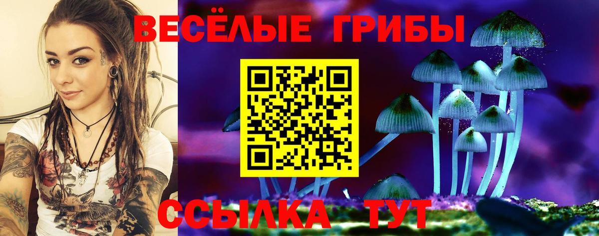 Тавда  Галлюциногенные грибы Psilocybine cubensis  Вход с VPN 